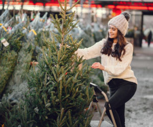 Jodła, sosna czy świerk? Które świąteczne drzewko zachowa świeżość najdłużej? 