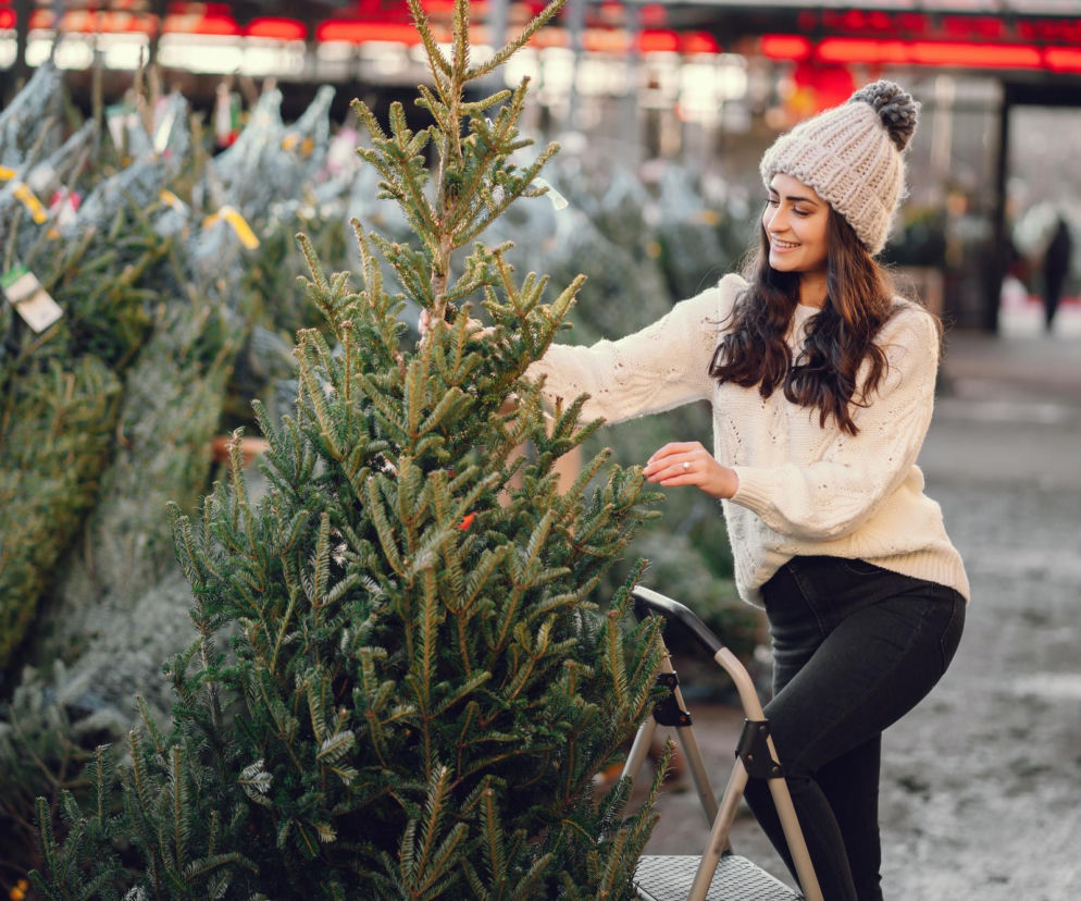 Jak wybrać choinkę
