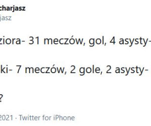 Reakcja internautów na powołania Sousy