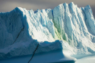 Mini Maraton Greenland w Helios Siedlce. Czy ludzkość przetrwa zagładę?