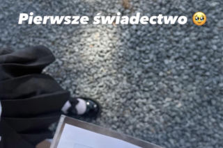Gwiazdy pochwaliły się świadectwami dzieci