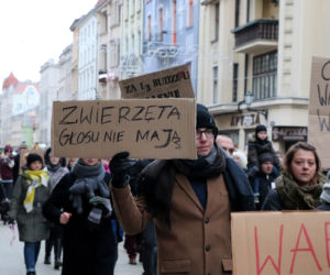 Oni mówią głosem zwierząt! Tak wygladał marsz w obronie zwierząt z Toruńskiego Schroniska [GALERIA, AUDIO]