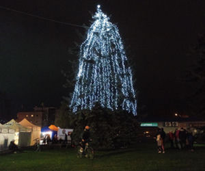 Po skargach Siedlczan na wygląd miejskiej choinki ARMS obiecuje poprawki 