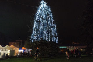 Po skargach Siedlczan na wygląd miejskiej choinki ARMS obiecuje poprawki 