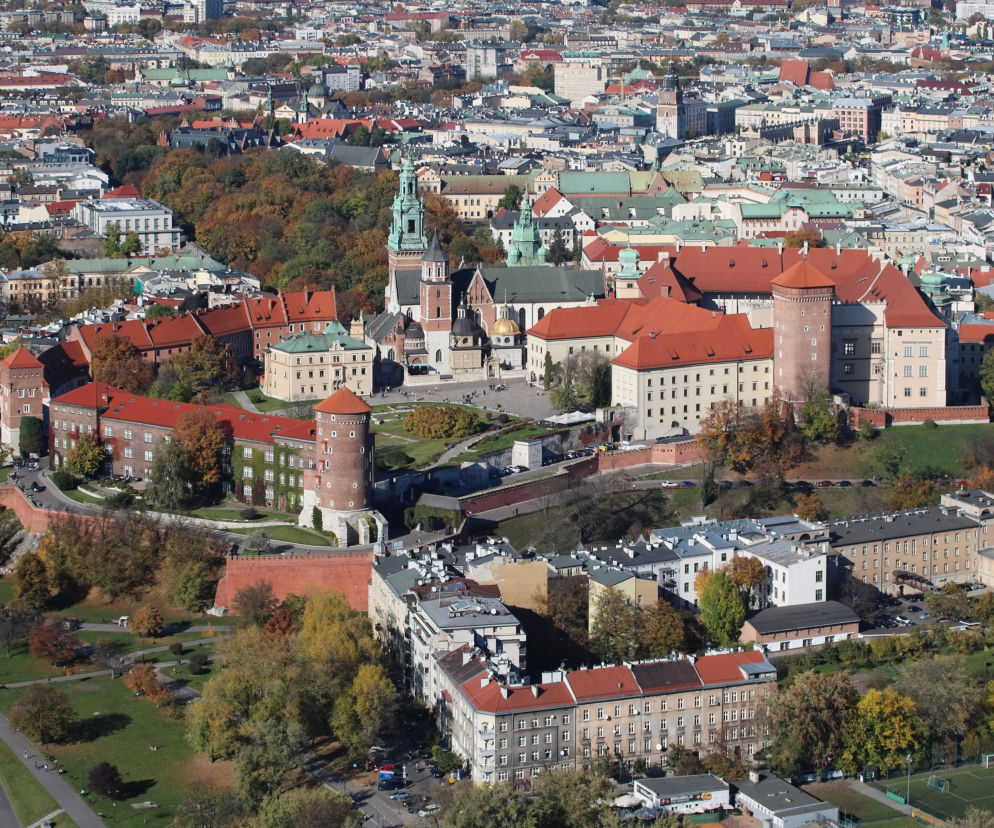 Kraków - “spelunką Europy” czy kulturalną metropolią? Dwa lata działania burmistrza nocnego