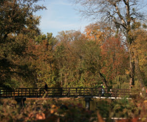 Park Sołacki