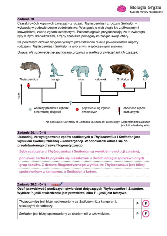 Matura 2026 biologia ROZSZERZONA: Arkusze CKE i odpowiedzi - sprawdź, czy zdałeś! 8.05.2026