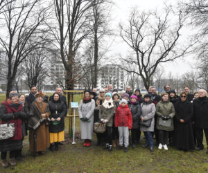 Powstańcy zapuścili korzenie. 20 drzew dla bohaterów w parku na Woli