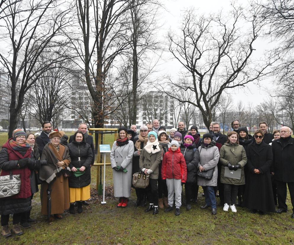 Powstańcy zapuścili korzenie. 20 drzew dla bohaterów w parku na Woli
