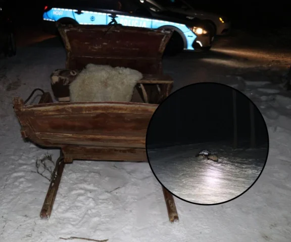 Ciągnął za autem sanie z kobietami i dzieckiem. Szok!