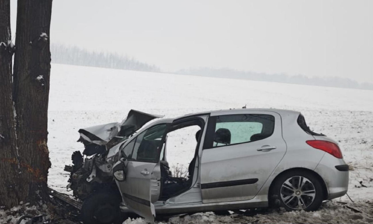 Na prostym odcinku drogi Peugeot uderzył w drzewo. Nie żyje 41-latek