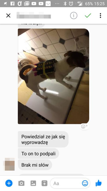 Rzuciła go dziewczyna, więc brutalnie skatował psa. "Patrz kur*o jeb**a szmato, krew tryska na wszystkie strony" [DRASTYCZNE ZDJĘCIA]