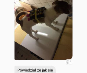 Rzuciła go dziewczyna, więc brutalnie skatował psa. Patrz kur*o jeb**a szmato, krew tryska na wszystkie strony [DRASTYCZNE ZDJĘCIA]