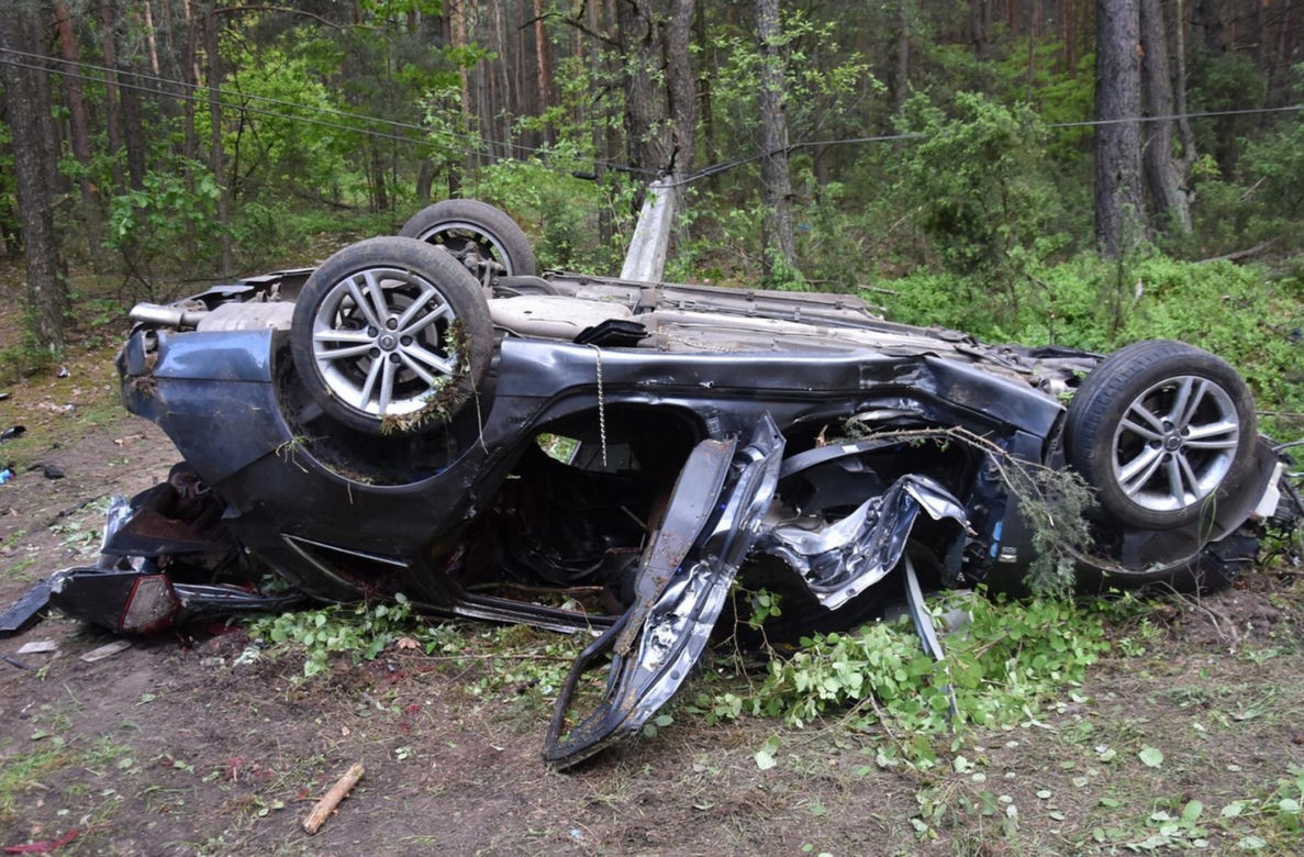 Rąbnęli w łosia, osierocili synka