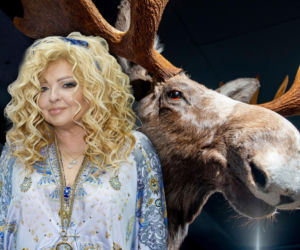 Zwrot akcji w sprawie Magda Gessler kontra restauracja. Poszło o głowę łosia i garnki