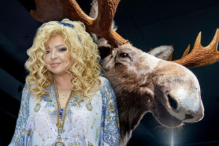 Zwrot akcji w sprawie Magda Gessler kontra restauracja. Poszło o głowę łosia i garnki