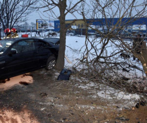 Tarnów. Młody kierowca ROZBIŁ bmw na przydrożnym drzewie. Z wypadku wyszedł niemal bez szwanku