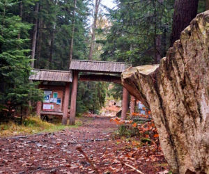 Oczy Ziemi w Świętokrzyskiem – mało znana atrakcja, która zachwyca turystów