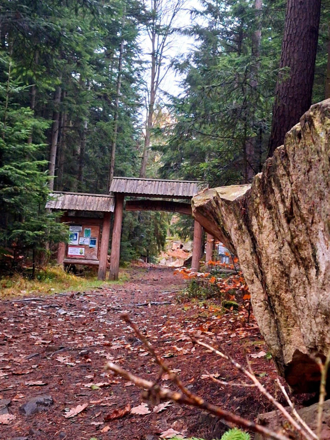 Oczy Ziemi w Świętokrzyskiem – mało znana atrakcja, która zachwyca turystów