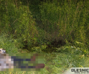 Tragiczny wypadek pod Oleśnicą