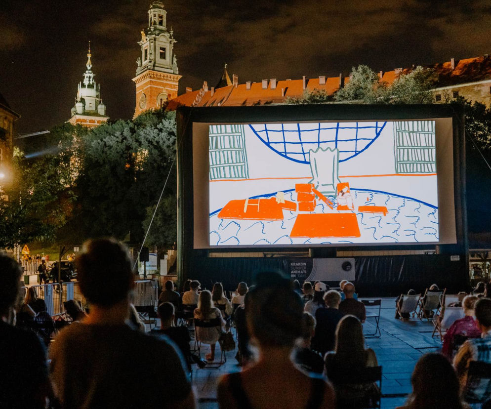 Kraków Summer Animation Days to cykliczna impreza filmowa, która odbywa się u stóp Wawelu.