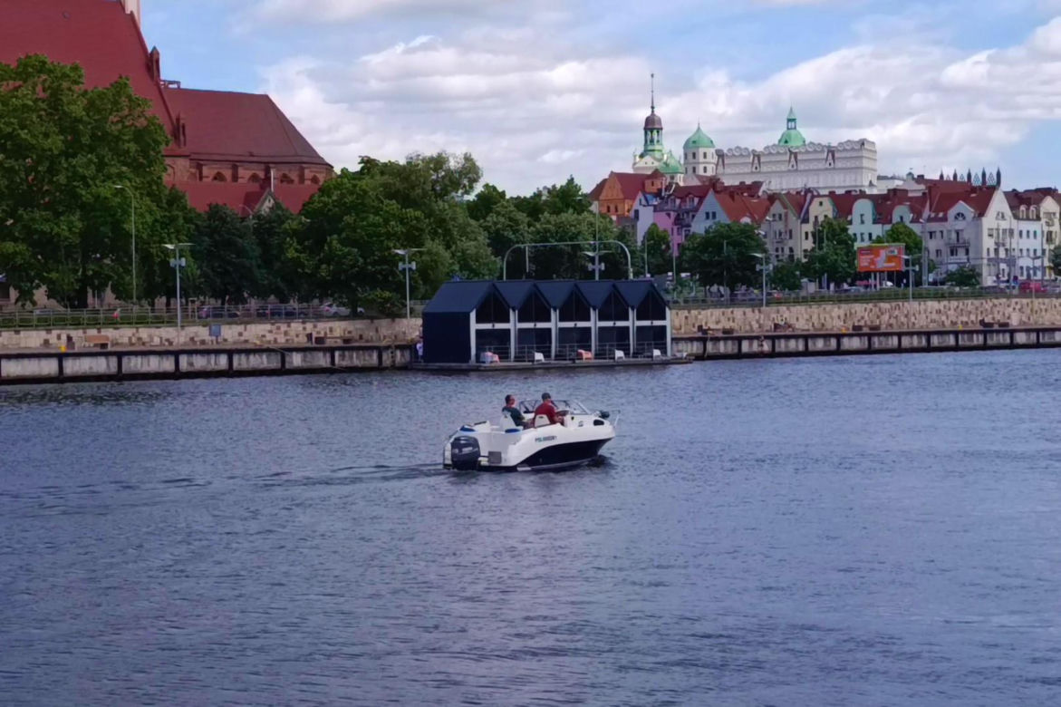 Martwe ryby w Odrze i rozlewiskach