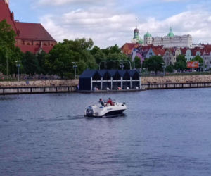 Martwe ryby w Odrze i rozlewiskach