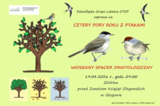 Wiosenny spacer z ptakami w Głogowie. Dołącz do wydarzenia
