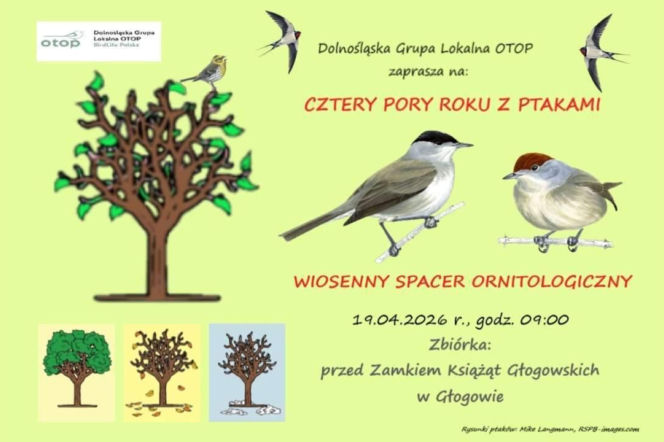 Spacer ornitologiczny