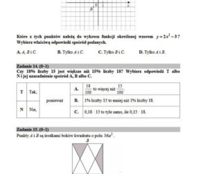 Egzamin gimnazjalny 2019 z matematyki