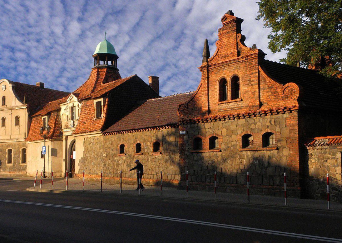 Zamek w Niemodlinie - zdjęcia. Zobacz zamek, który odwiedza stado danieli