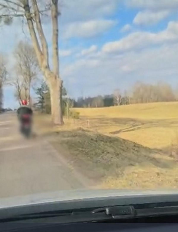 72-latek ciągnął psa za motorowerem. Zwierzę nie przeżyło