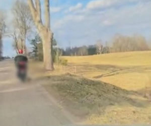 72-latek ciągnął psa za motorowerem. Zwierzę nie przeżyło