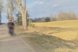 72-latek ciągnął psa za motorowerem. Zwierzę nie przeżyło