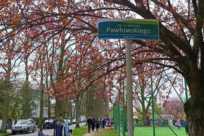 Pchli targ na Pogodnie