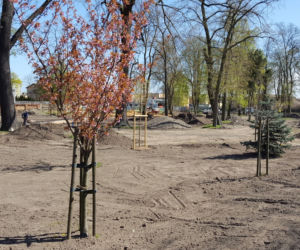 Od dziś otwarte lasy i parki. Ale parki Heermanna i Jonstona wciąż ogrodzone