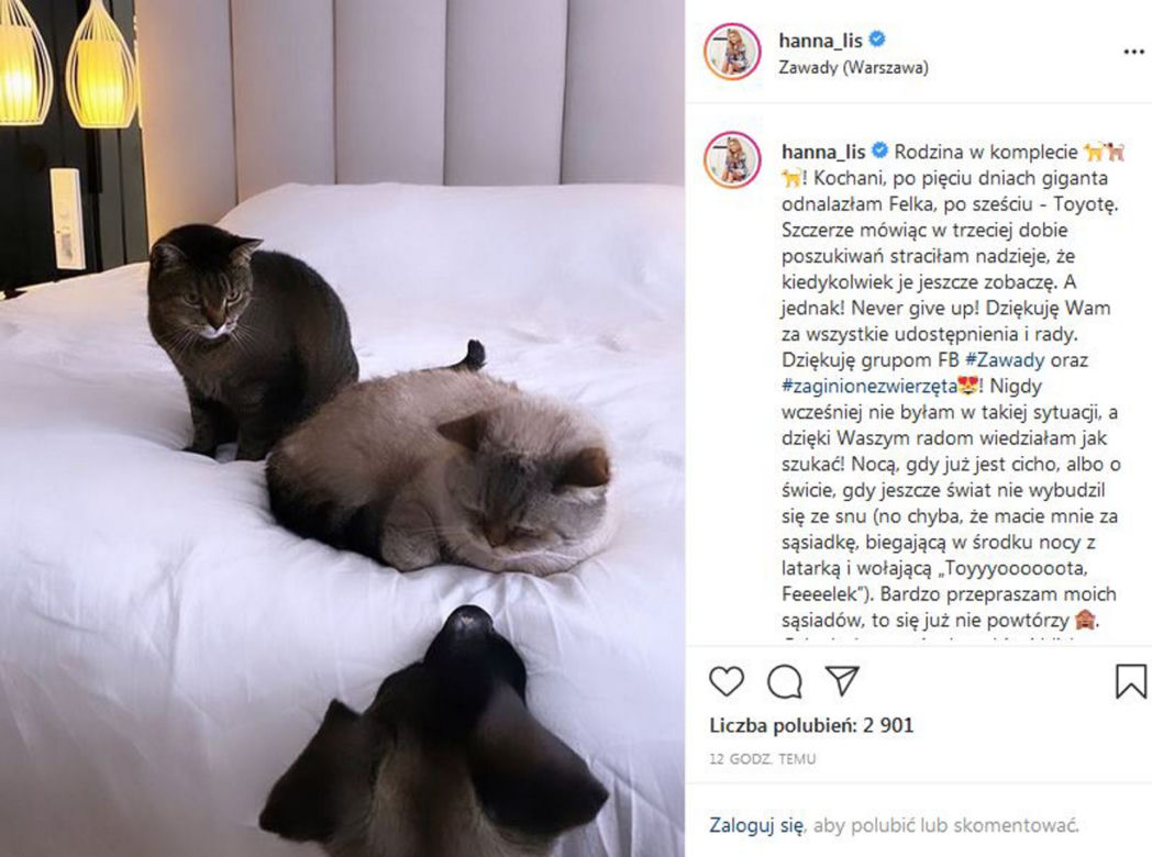 Hanna Lis odnalazła swoje koty