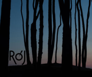 Rój