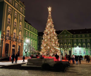 Choinka przed urzędem miasta w Szczecinie