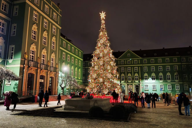 Choinka przed urzędem miasta w Szczecinie