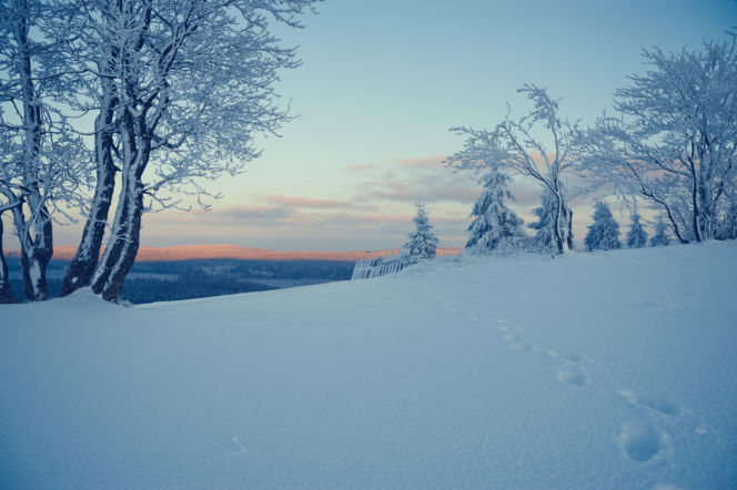 Sezon narciarski wystartował w Zieleńcu na dobre