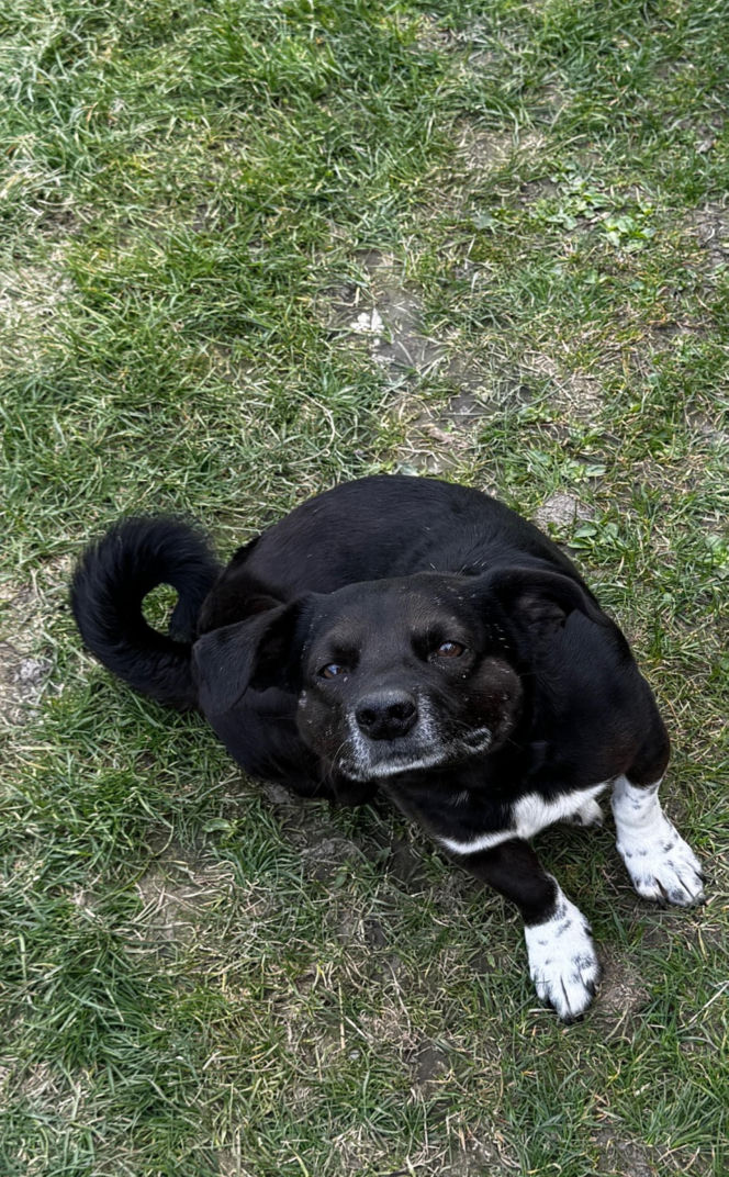 Miała wziąć zegar w kształcie słonia i zabić nim własną matkę. Mała wieś na Lubelszczyźnie w szoku