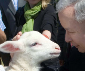 Jarosław Kaczyński w gospodarstwie w Kubalinie