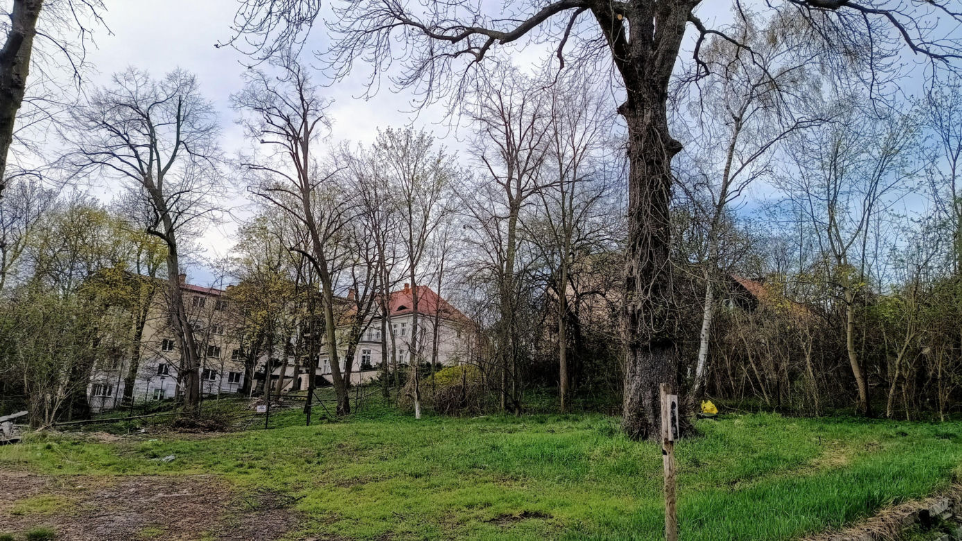 Rybaki, Toruń