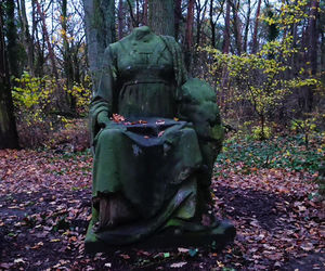 Teren wokół Wieży Quistorpa został uporządkowany