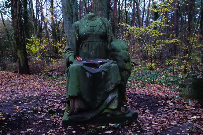 Teren wokół Wieży Quistorpa został uporządkowany