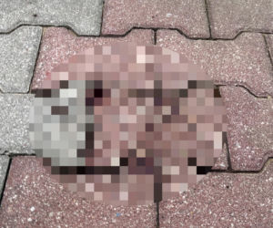 Tragedia w Lublinie. Kurier potrącił seniorkę. Kobieta nie żyje