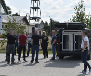 Do poszukiwań Dawidka zostały włączone specjalne psy niemieckiej policji