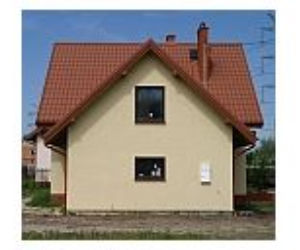 D12 Wilcze łyko