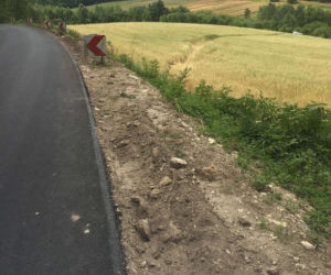 Unikneła zderzenia z sarną i wpadła w zboże